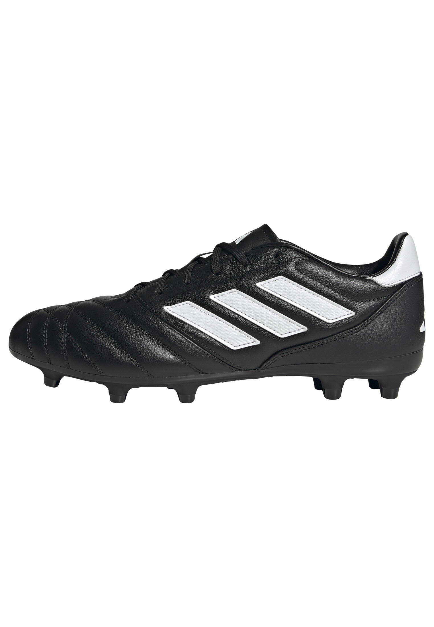 COPA GLORO ST FG Bild 1 COPA GLORO ST FG
