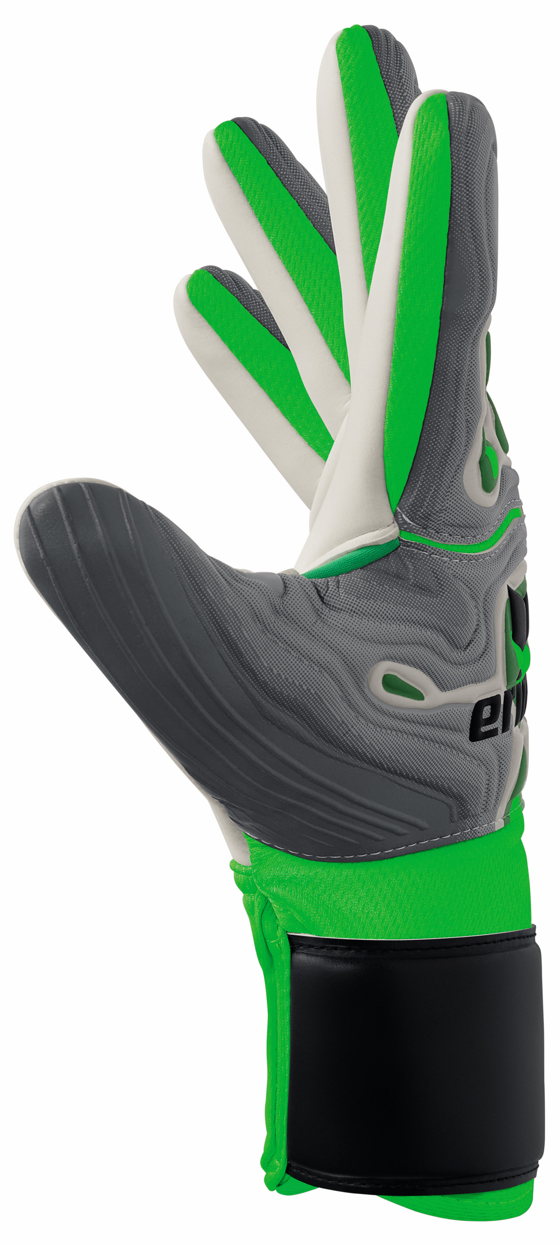 FleX-Ray New Talent Bild 8