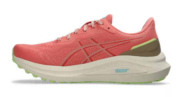 GT-1000 13 TR Bild 2