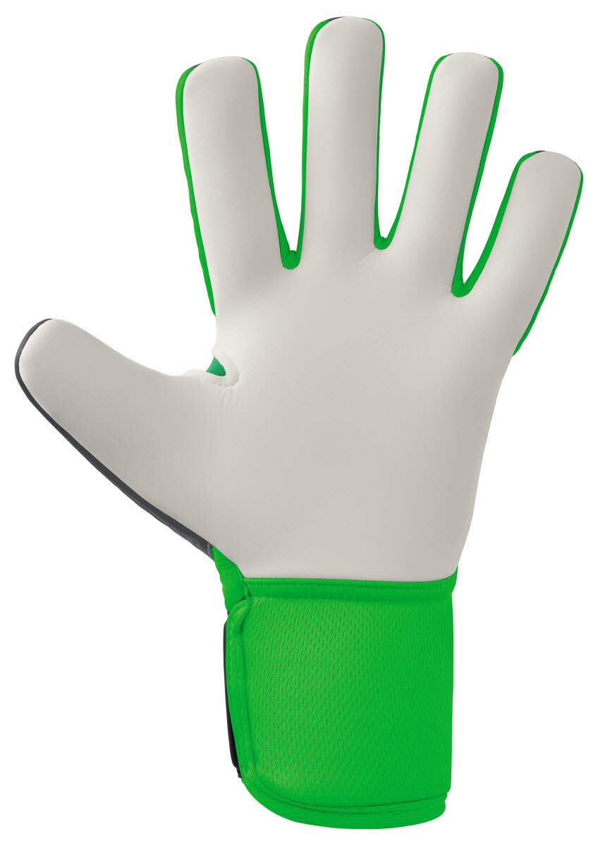 FleX-Ray New Talent Bild 3