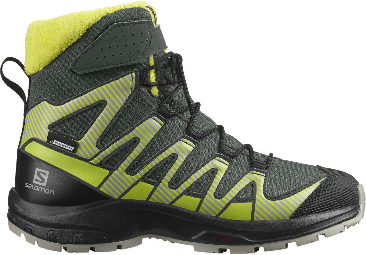 XA PRO V8 WINTER CSWP J