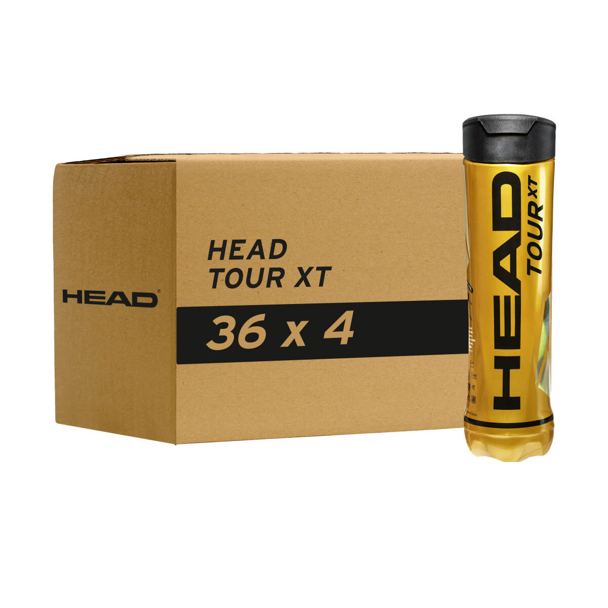 4B HEAD TOUR XT