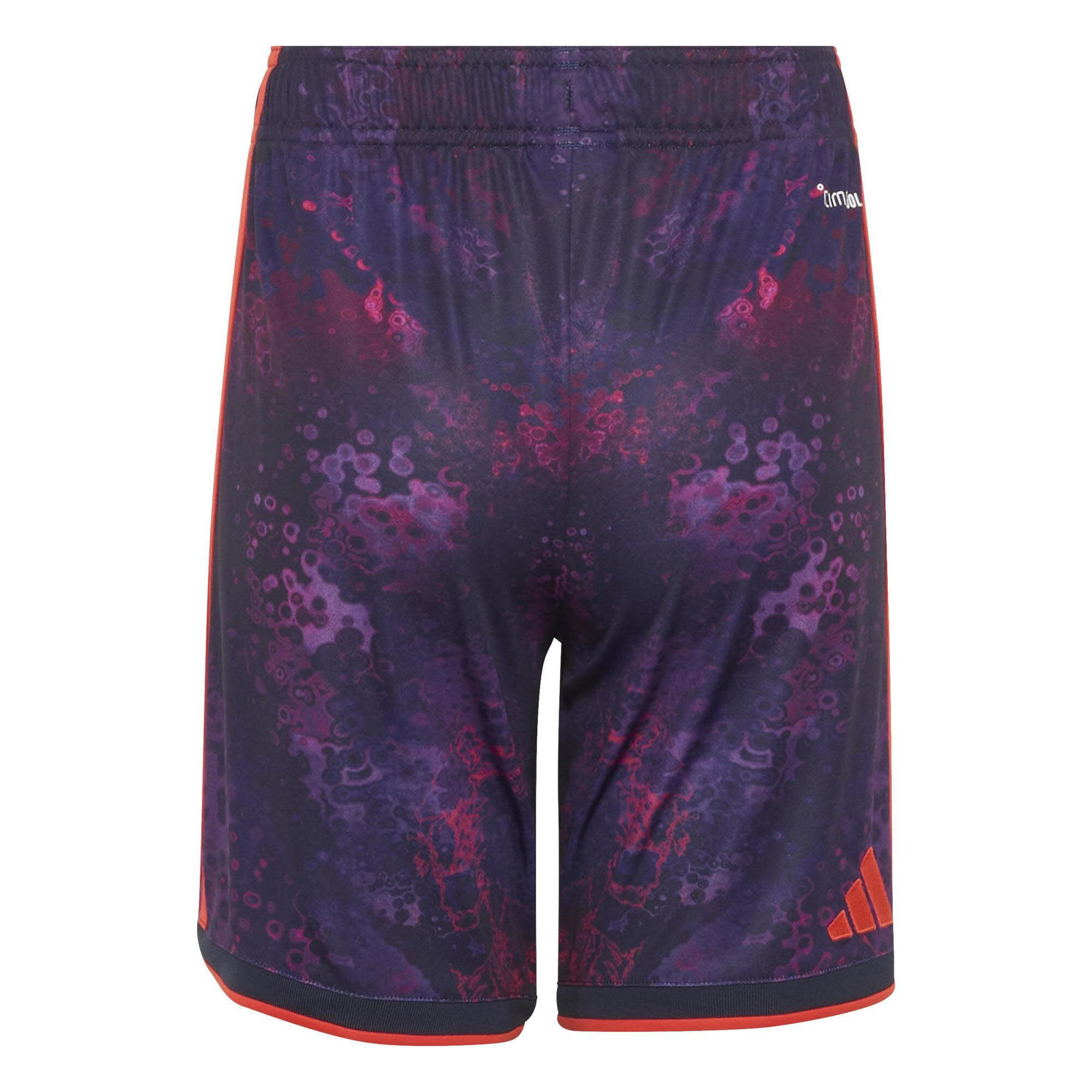 FC Bayern 3 Short Y
