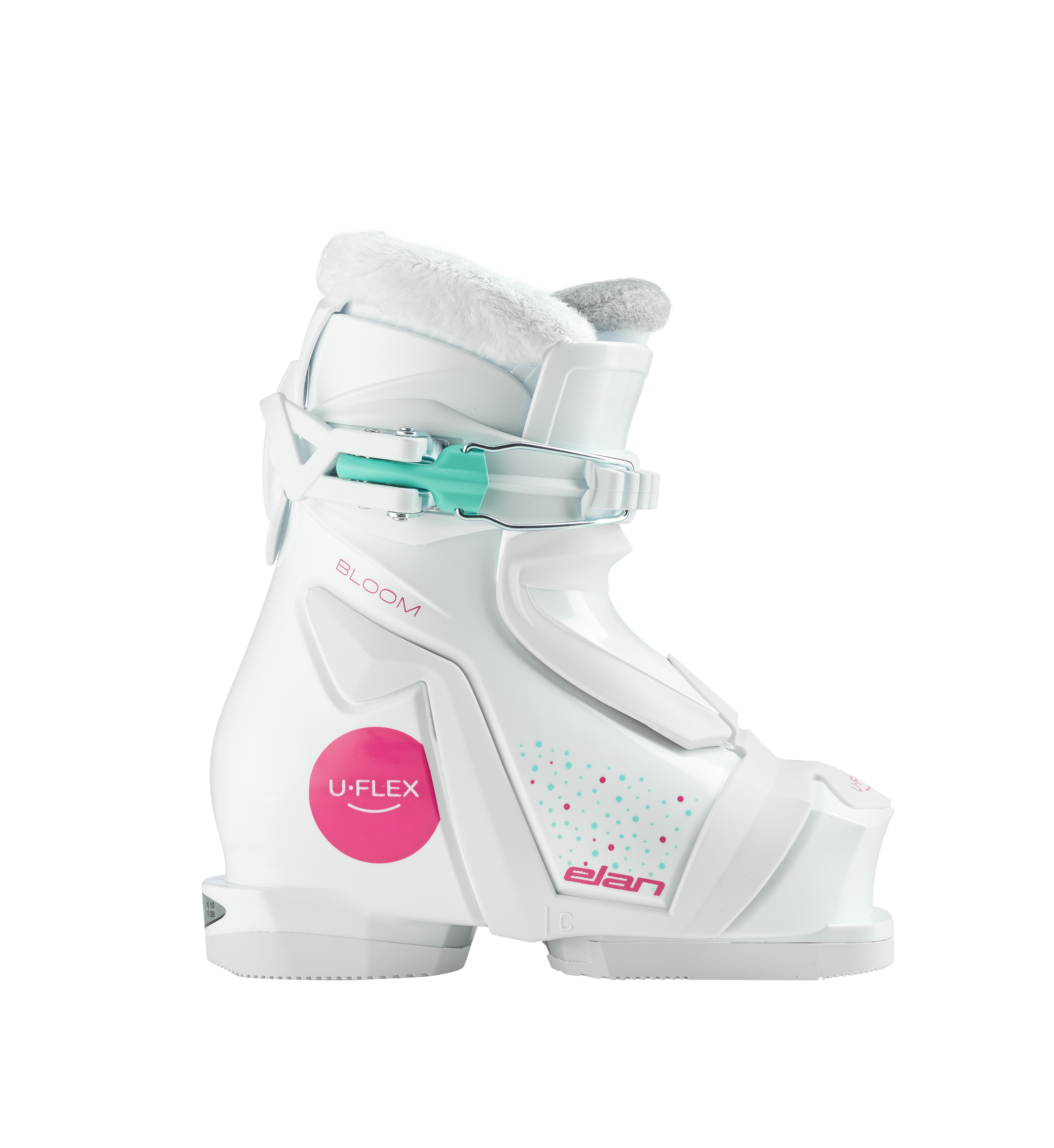 BLOOM 1 Bild 1 BLOOM 1