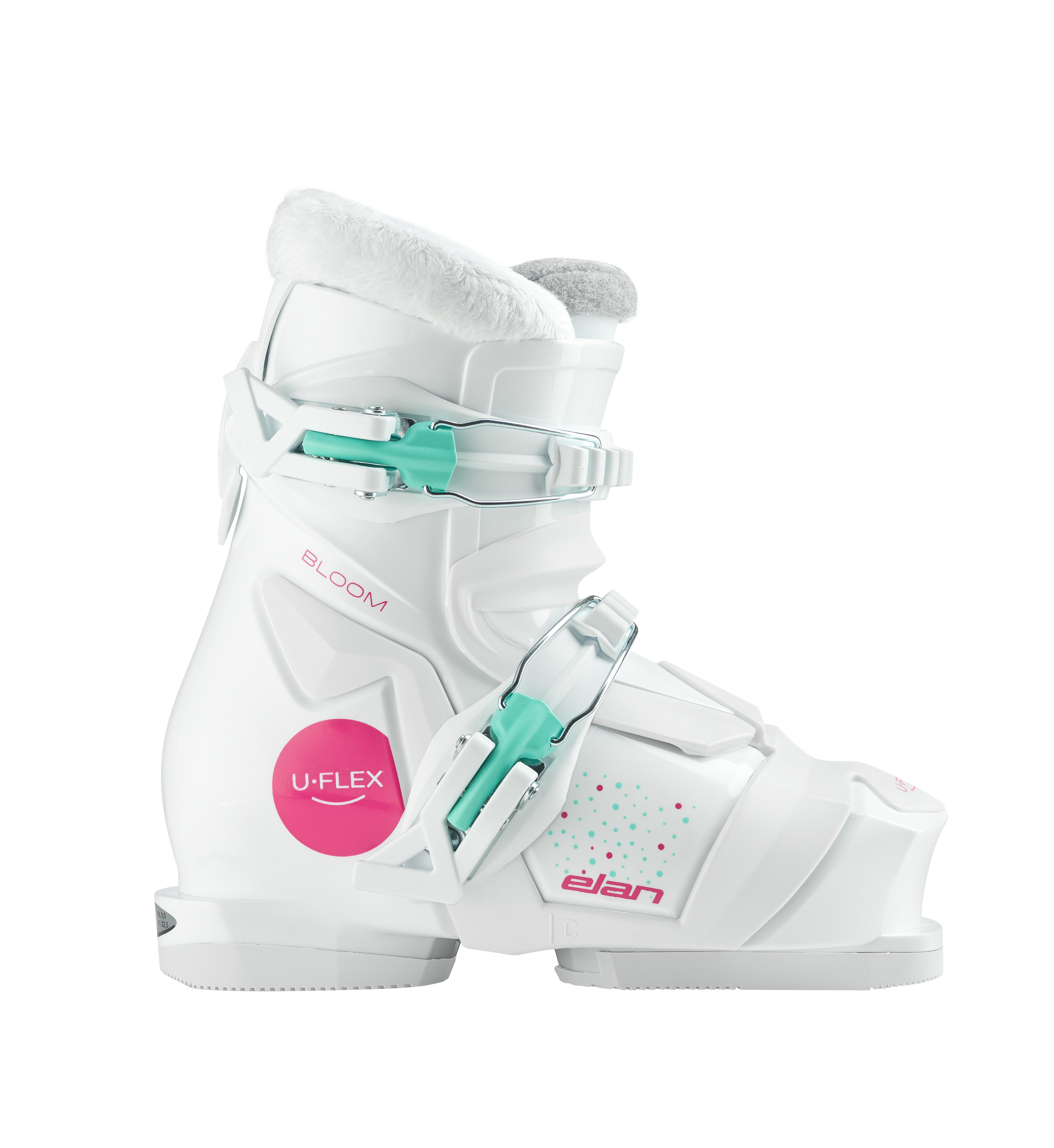 BLOOM 2 Bild 1 BLOOM 2