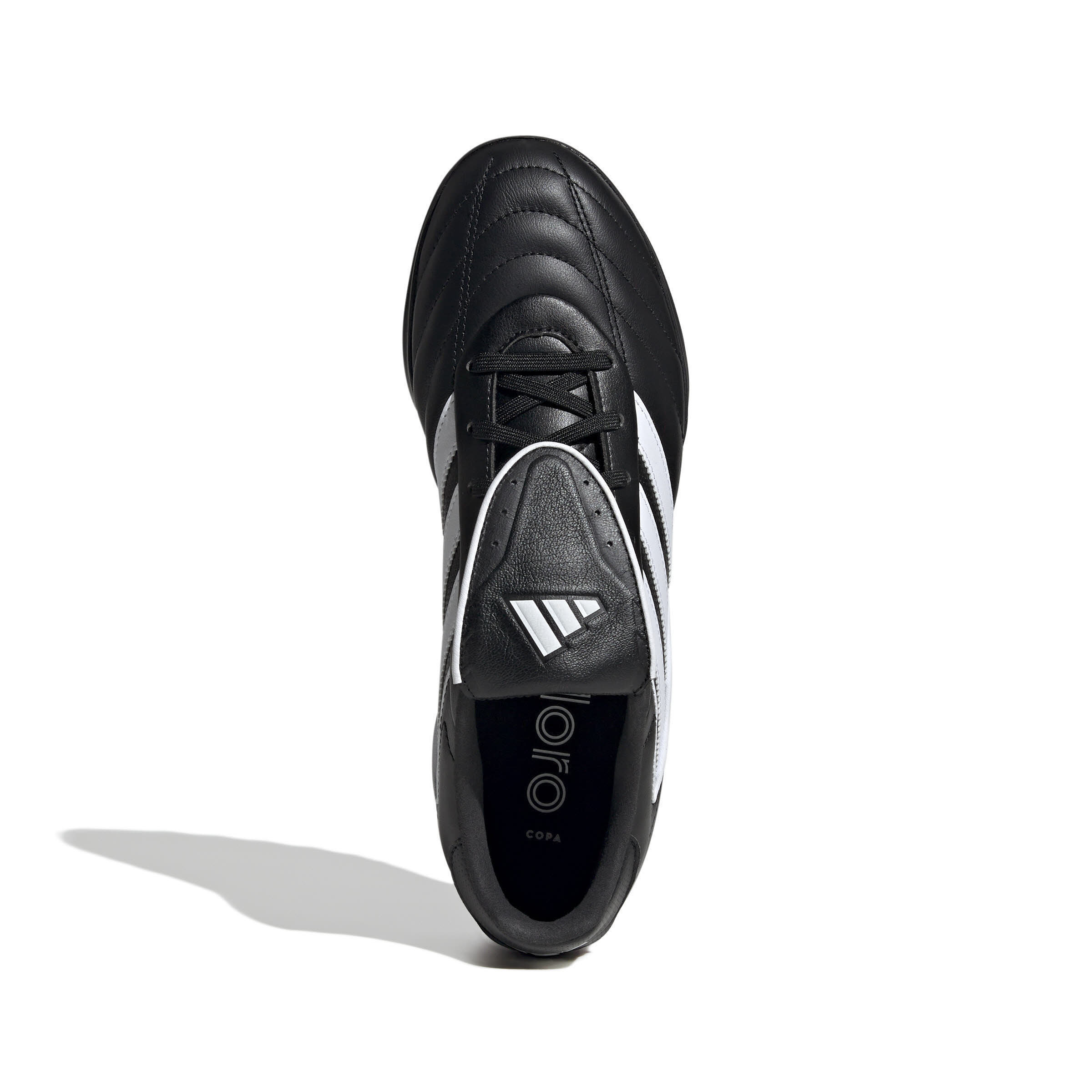 COPA GLORO II TF