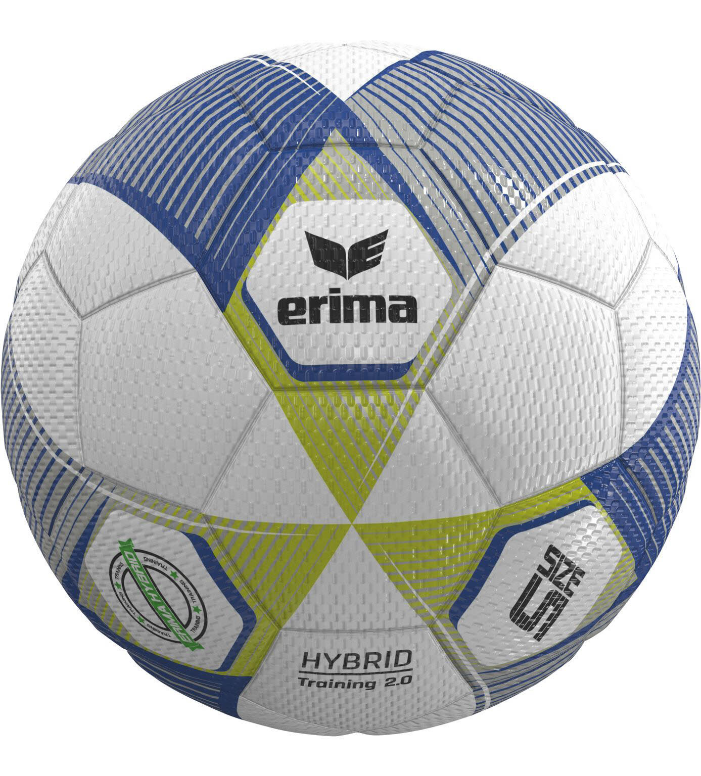 HYBRID Training 2.0