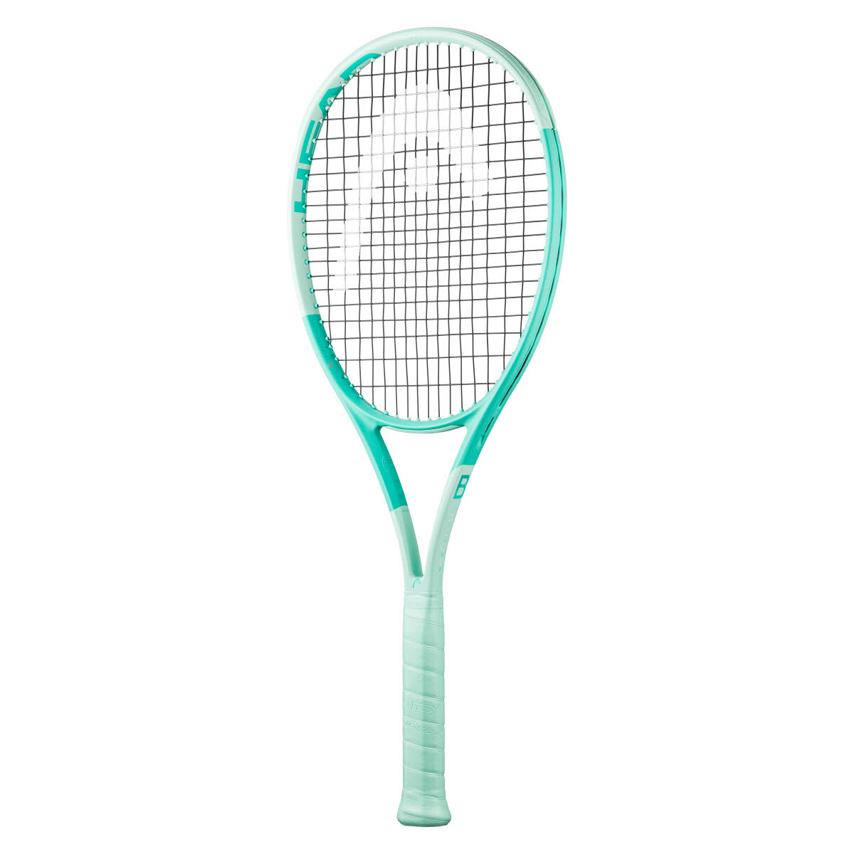 Boom MP L 2024 Alternate